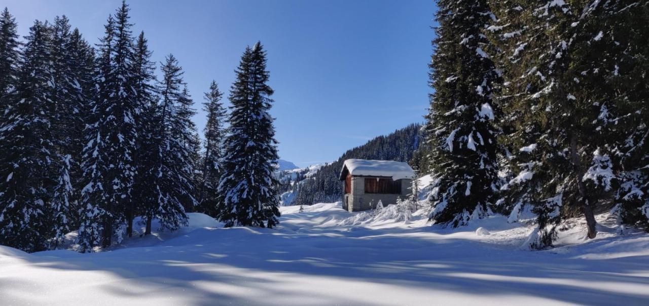Z Studio - Next Door To Vals Therme Екстер'єр фото