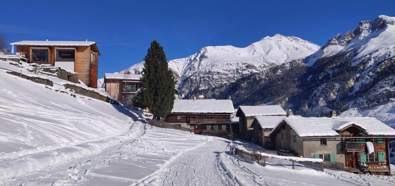 Z Studio - Next Door To Vals Therme Екстер'єр фото